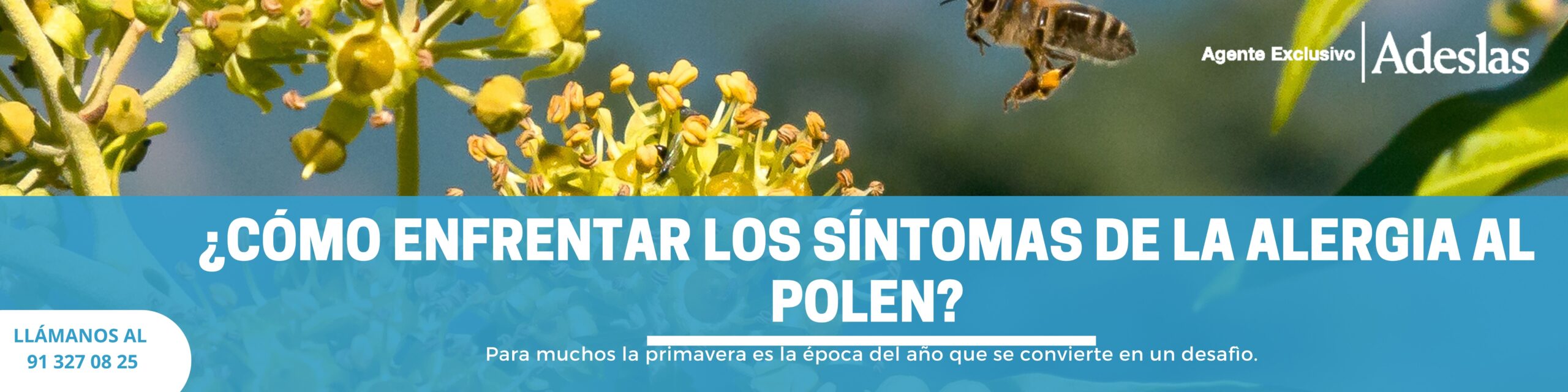 alergia al polen