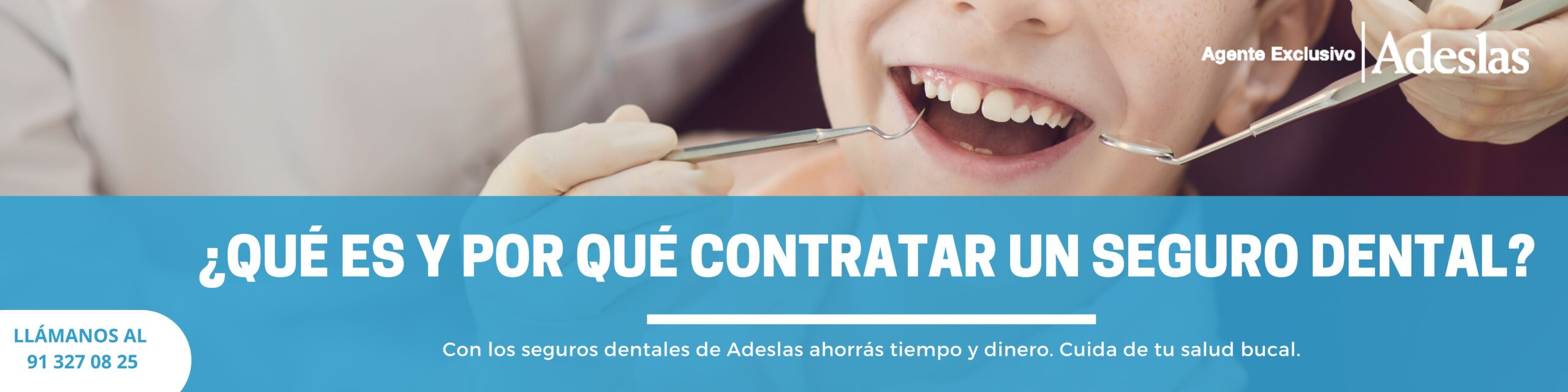 SEGURO DENTAL